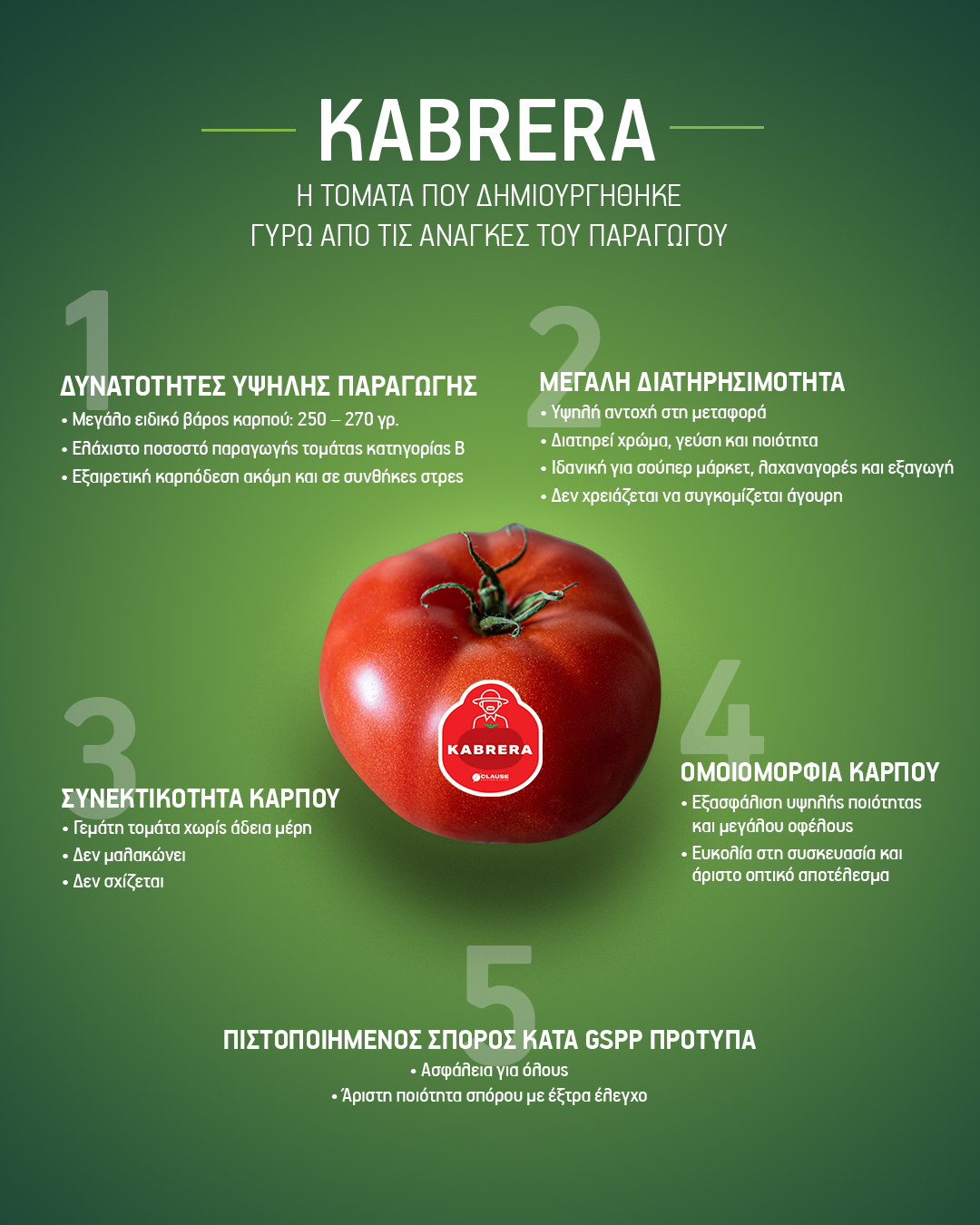 Τομάτα Kabrera