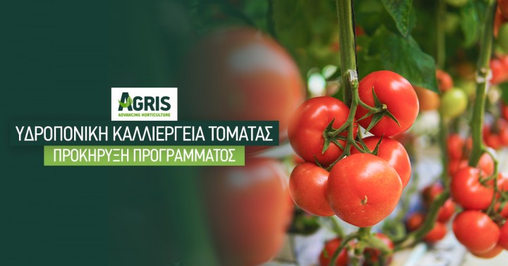 Προκήρυξη Προγράμματος: Σύγχρονες απαιτήσεις της υδροπονικής καλλιέργειας τομάτας στο θερμοκήπιο