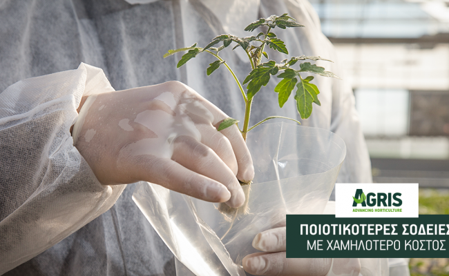 AGRIS – ΑΠΘ: Νέα ερευνητικά προγράμματα για ποιοτικότερες σοδειές