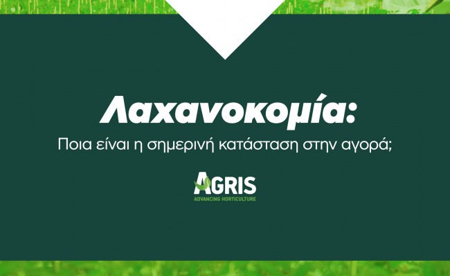 Λαχανοκομία: Πώς έχει επηρεαστεί η αγορά εν μέσω Covid-19;