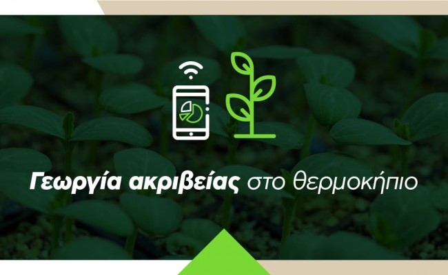 Γεωργία Ακριβείας στο Θερμοκήπιο: Ποια οφέλη αποκομίζει ο παραγωγός