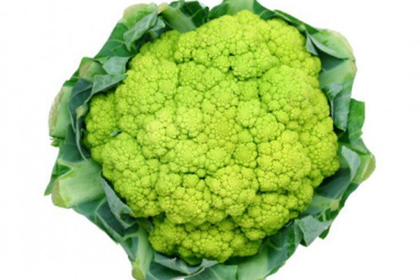 Broccoli Free Photo Download Increase testosterone, Healthy green smoothies, Inc